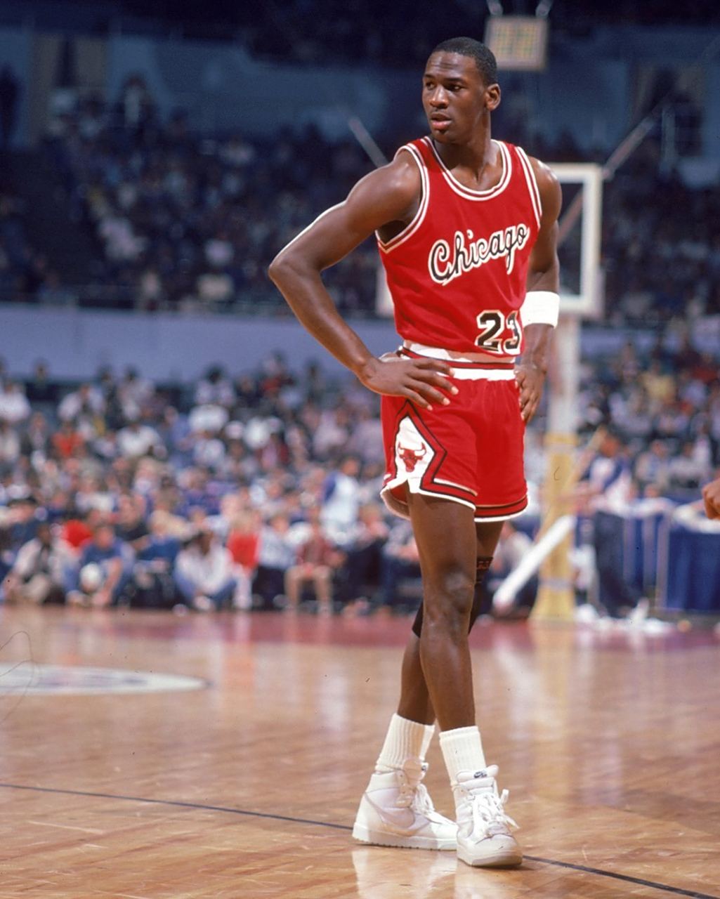 但未来收益 但未来收益