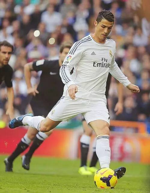 这是一种资 这是一种资