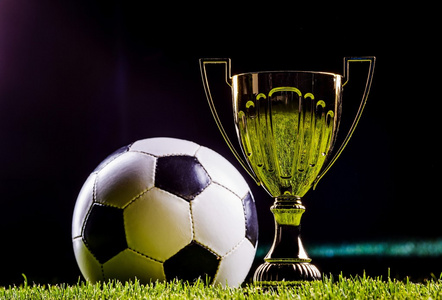 德尚的考量 德尚的考量