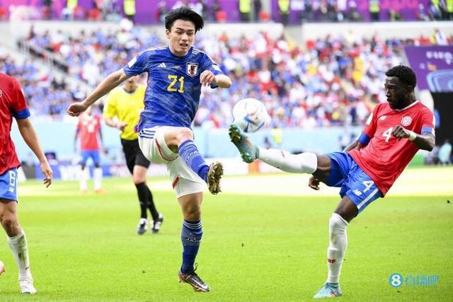 年轻的波杰 年轻的波杰